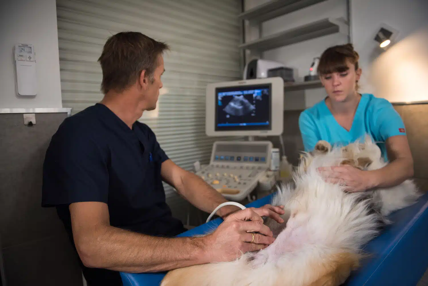 Vétérinaire La Colle sur Loup - imagerie
