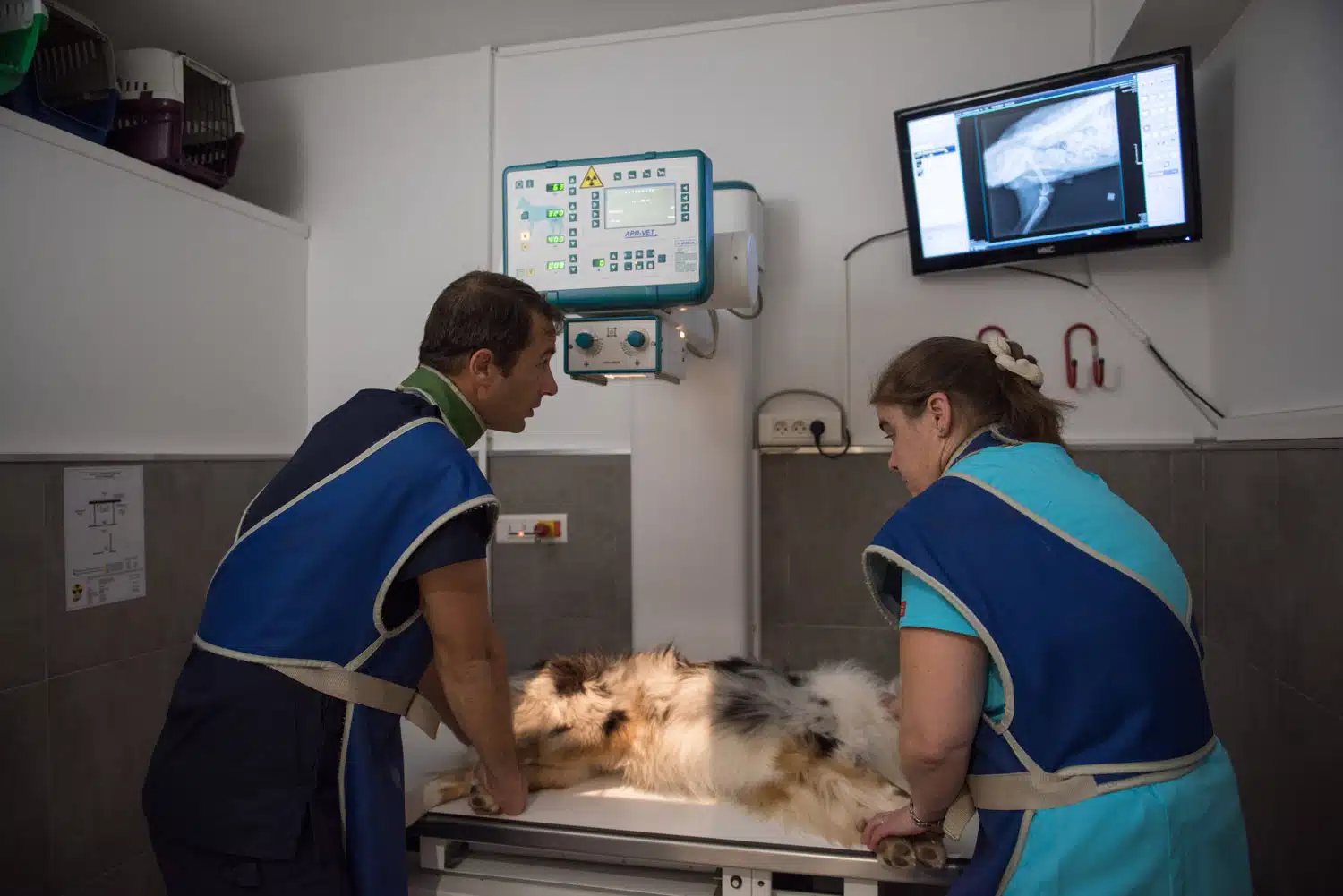 Vétérinaire La Colle sur Loup - imagerie