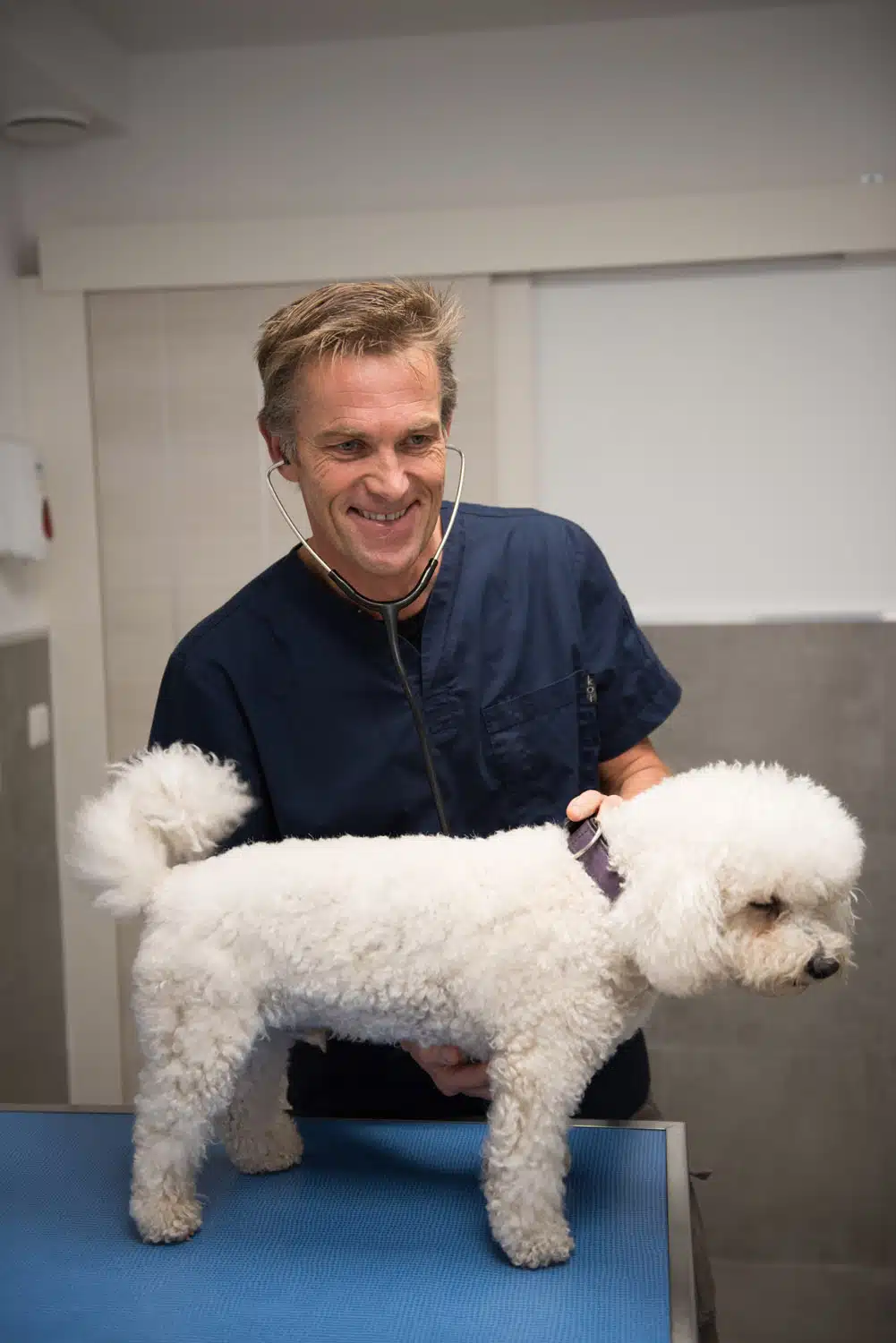Vétérinaire La Colle sur Loup. Cagnes sur Mer. Saint Paul de Vence
