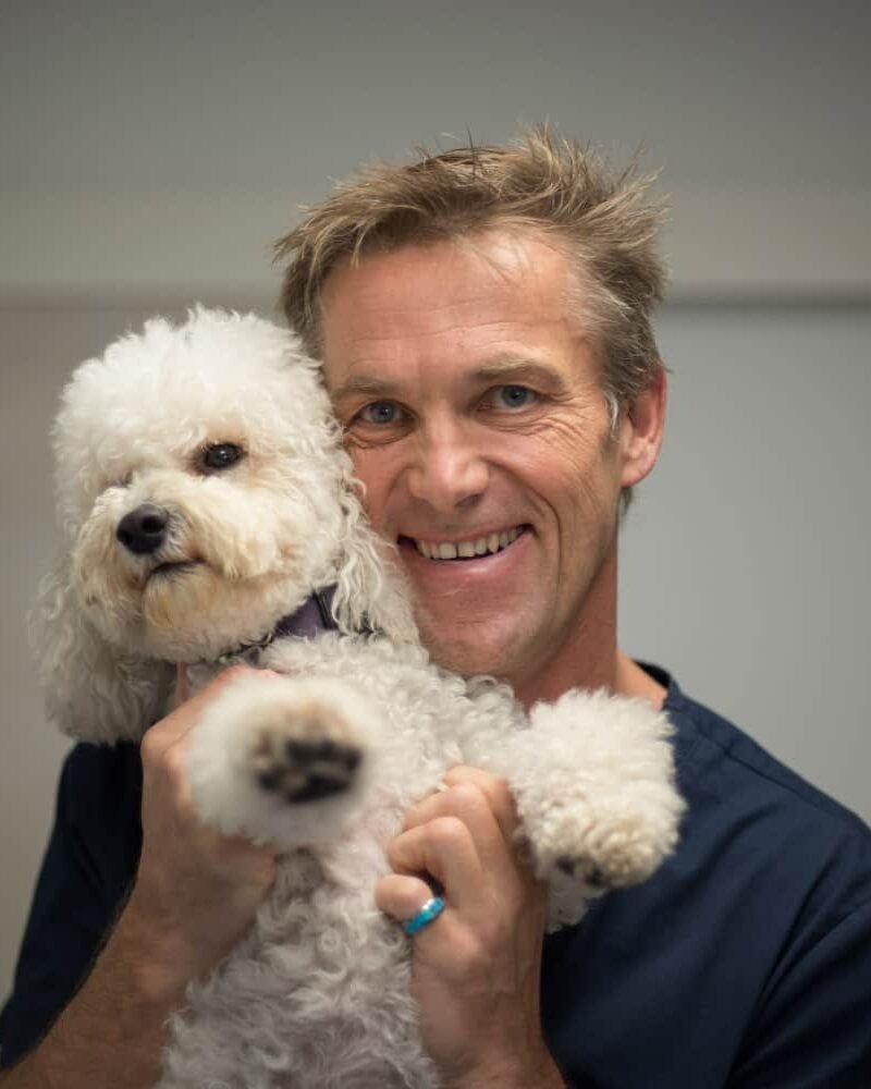 Vétérinaire La Colle sur Loup - consultation