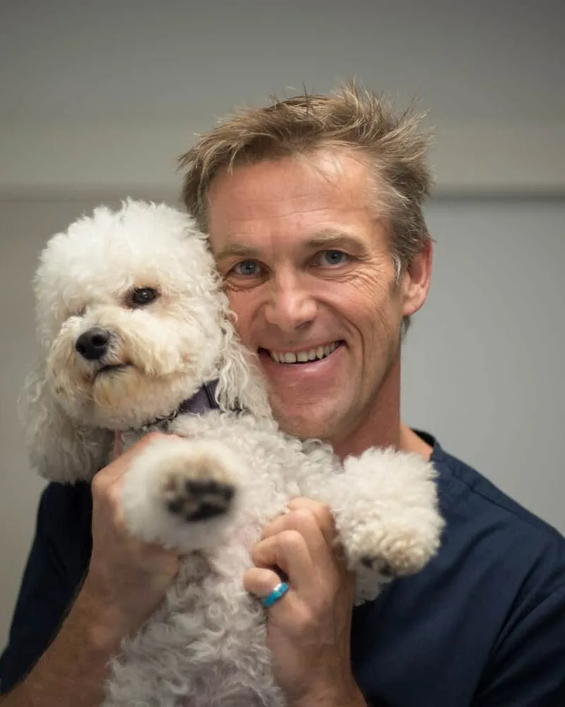 Vétérinaire La Colle sur Loup - consultation