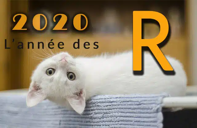 Animaux divers