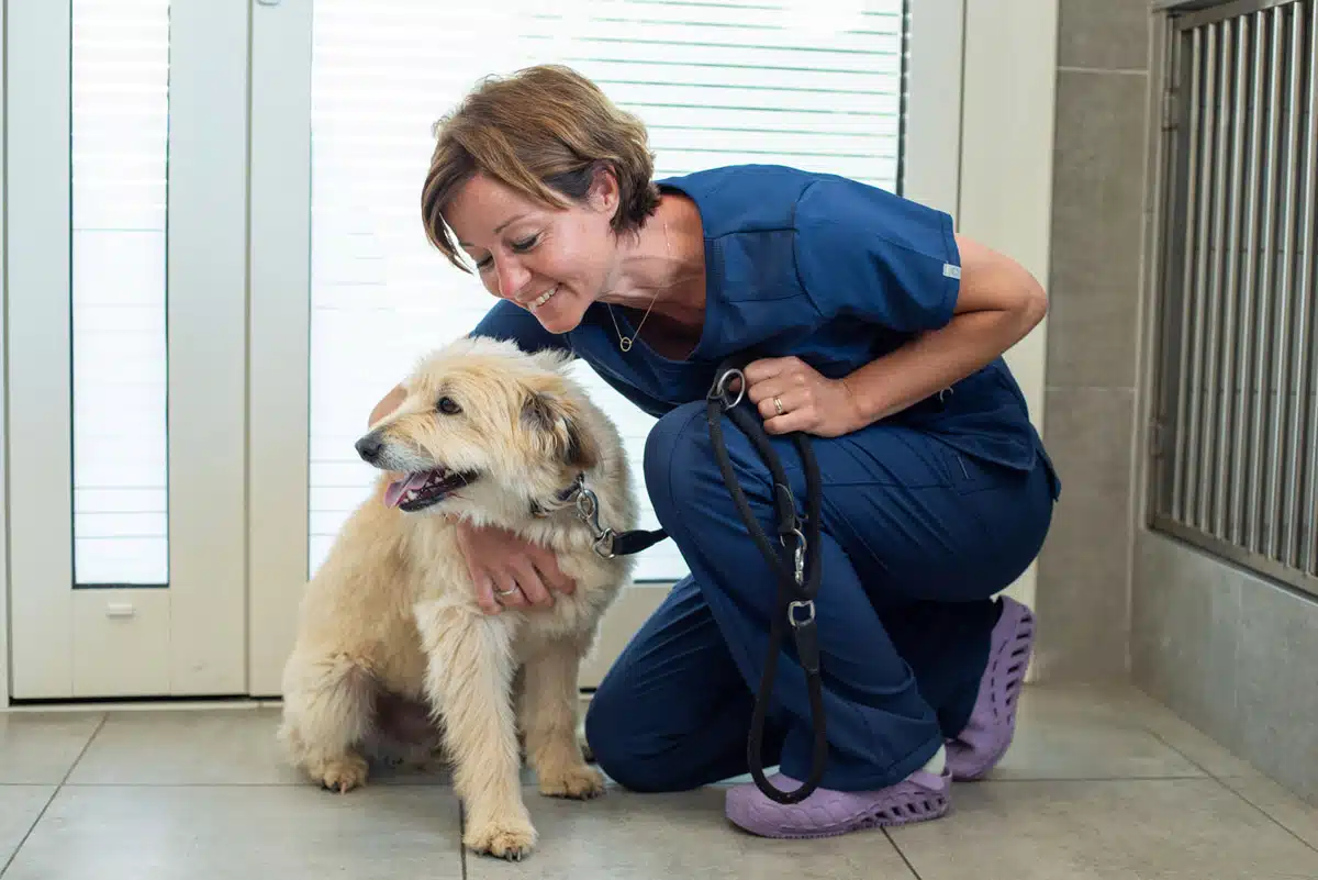 Veterinaire la Colle sur Loup Hospitalisation 6