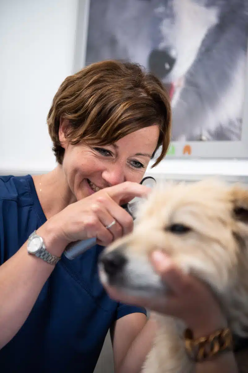 Veterinaire La Colle sur Loup Dr DEVOS 3