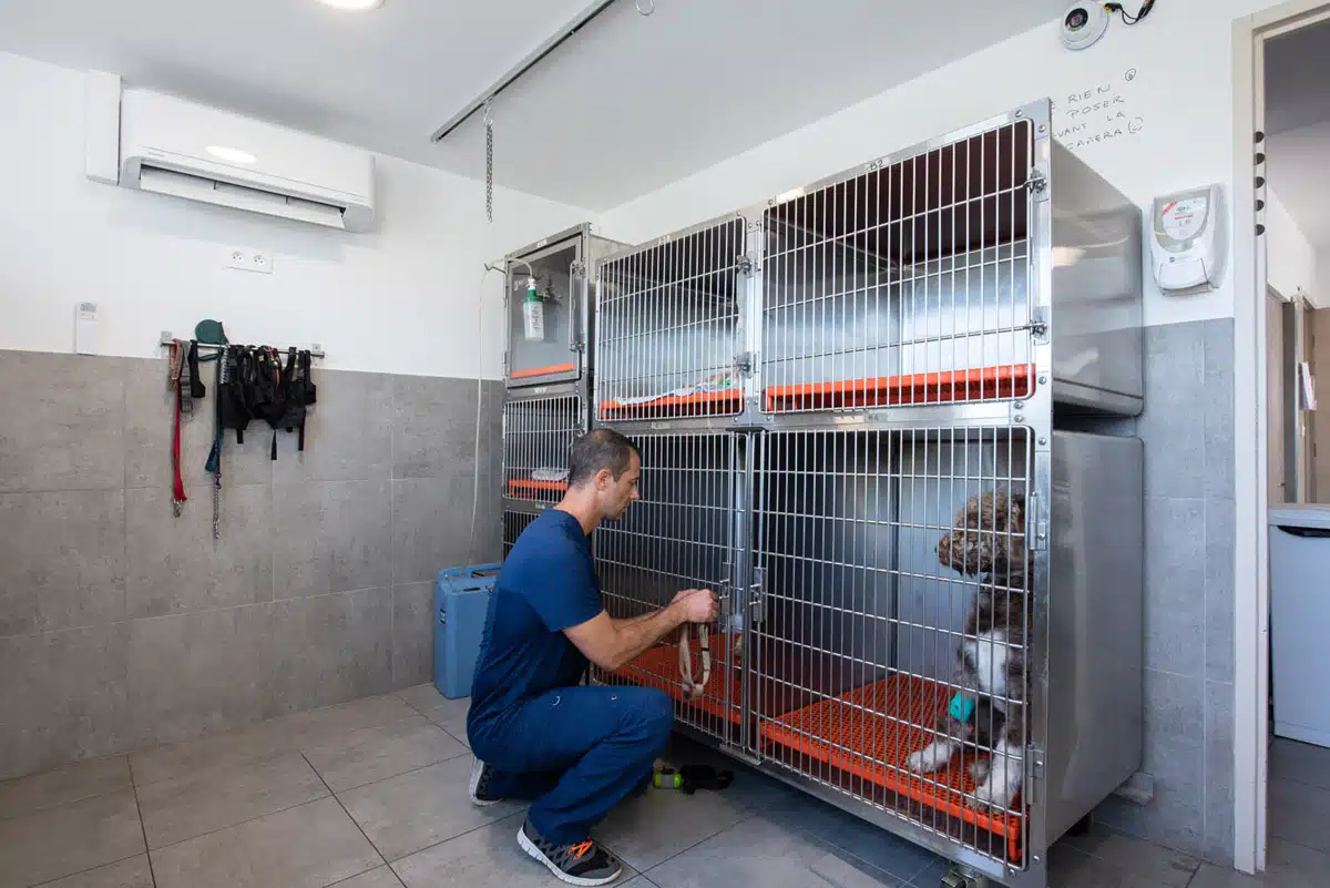 Veterinaire la Colle sur Loup Hospitalisation Cédric