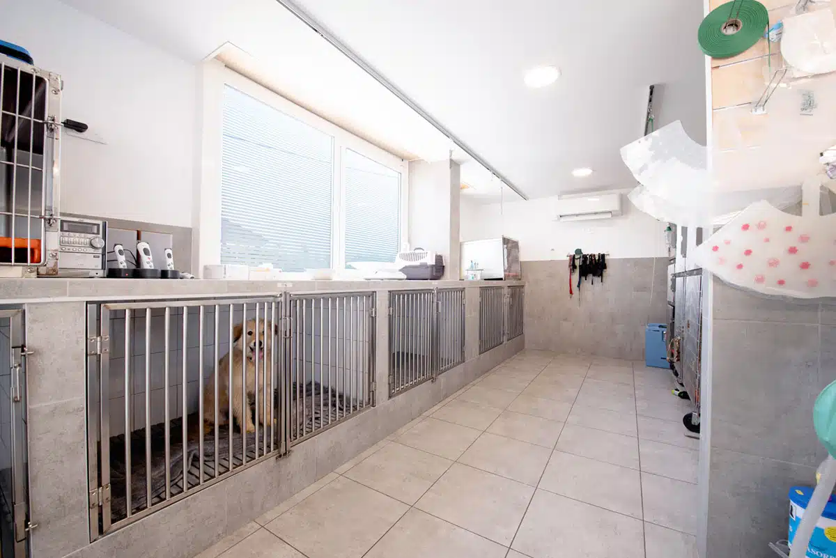 Veterinaire la Colle sur Loup Hospitalisation