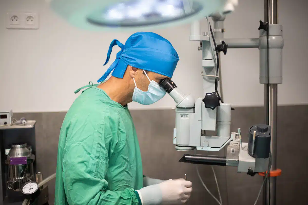 veterinaire la colle sur loup chirurgie