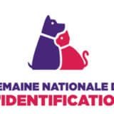 Logo SNI