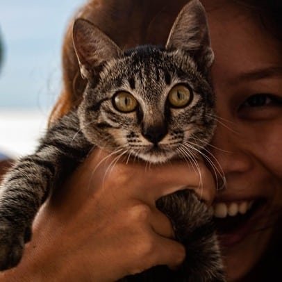 Femme avec son chat dans les bras. Vétérinaire La Colle-sur-Loup