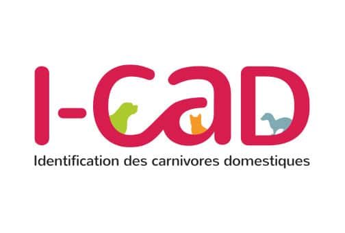 I CAD