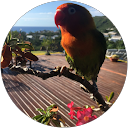 Aurélie Ablct profile picture