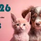 Année des B
