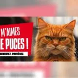 Semaine Nationale de l'Identification 2026 - Tu m'aimes tu me pu